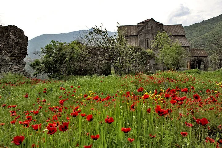 Field of red poppies blooming near the ancient stone ruins of Haghpat Monastery.